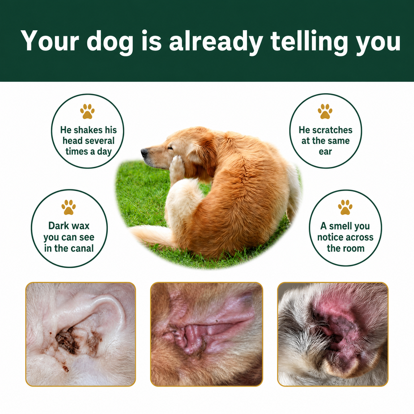 Trelia™ Anti Itch Ear Cleaner