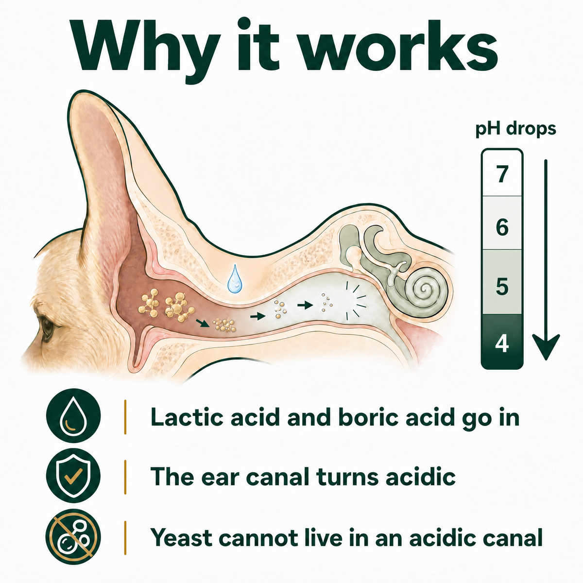 Trelia™ Anti Itch Ear Cleaner