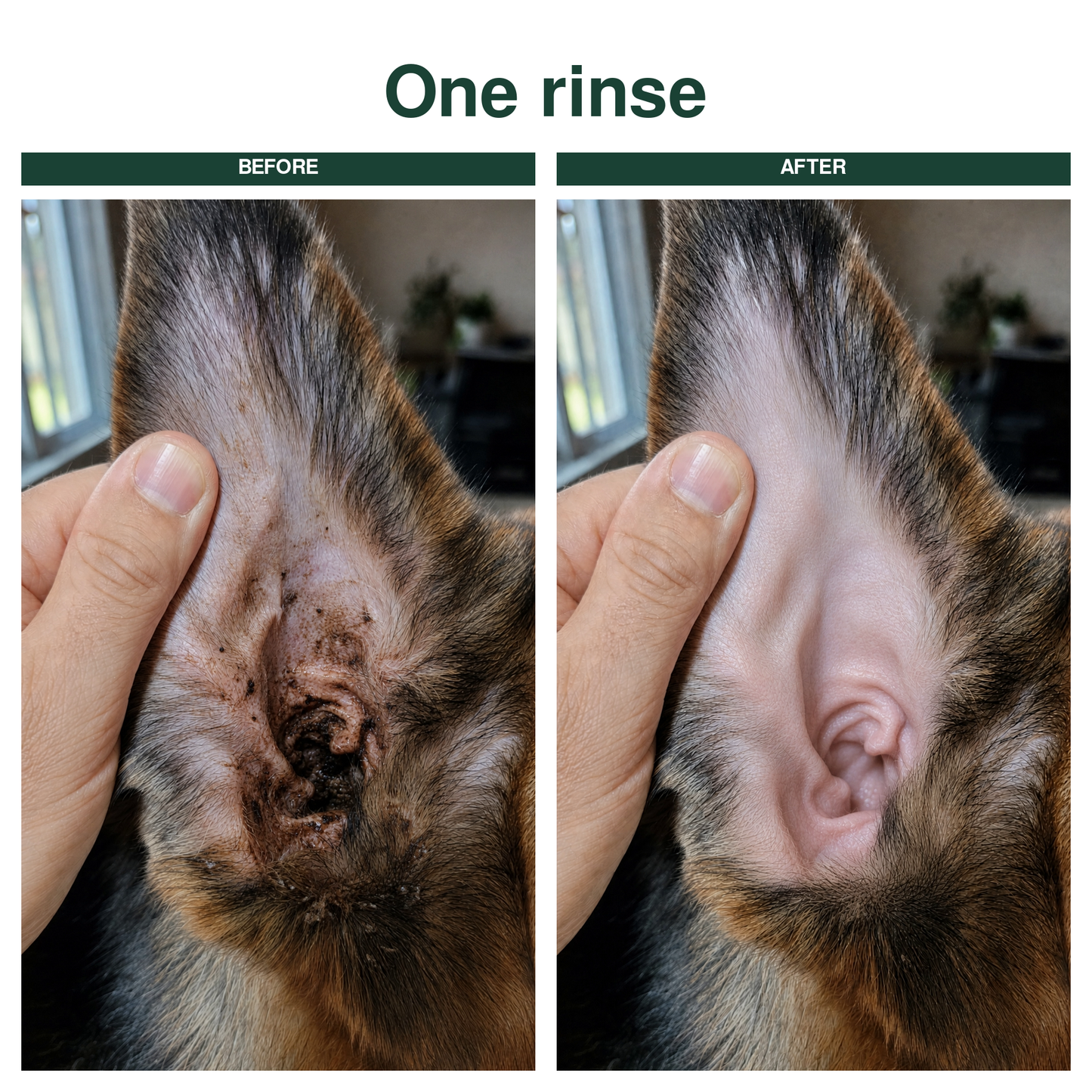 Trelia™ Anti Itch Ear Cleaner