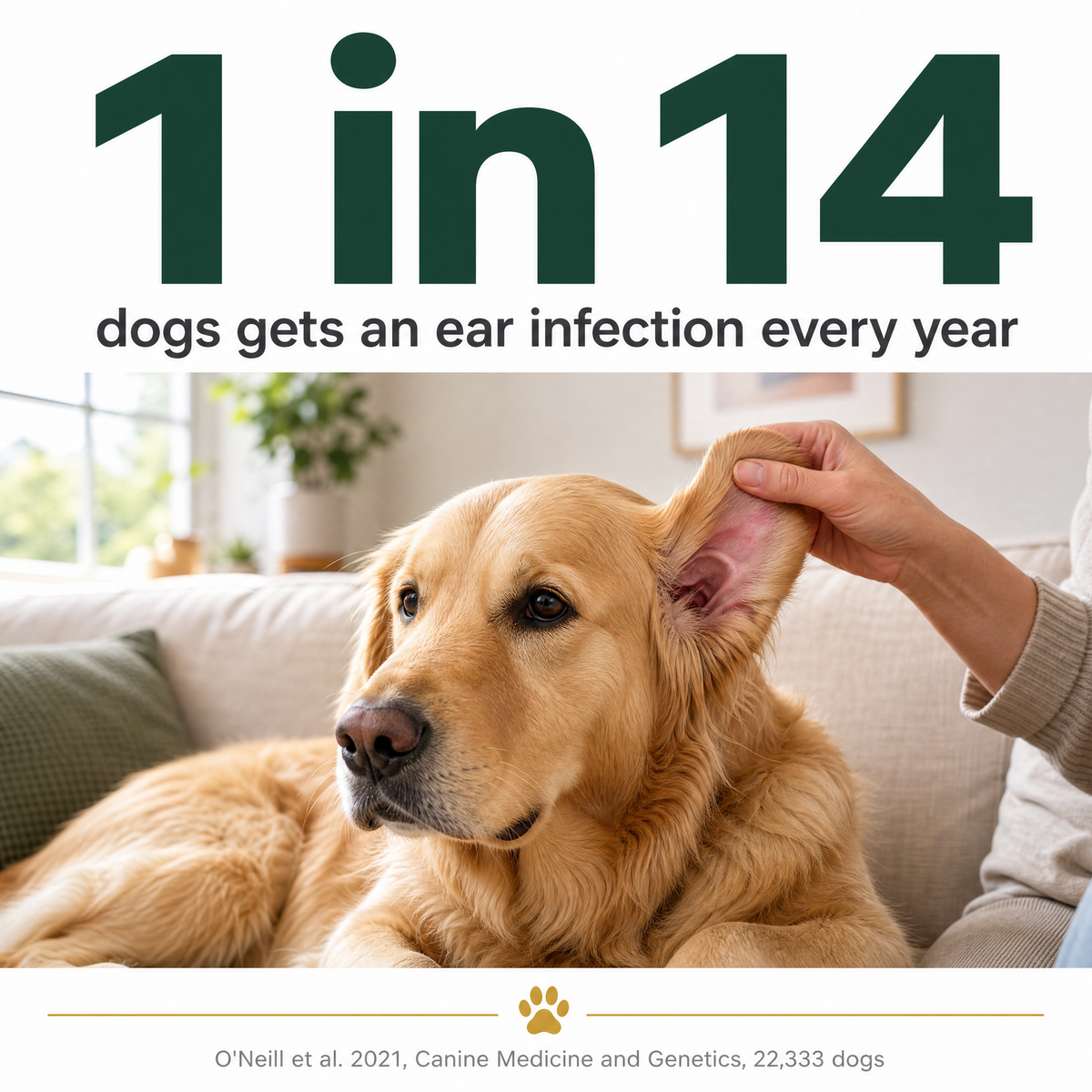 Trelia™ Anti Itch Ear Cleaner